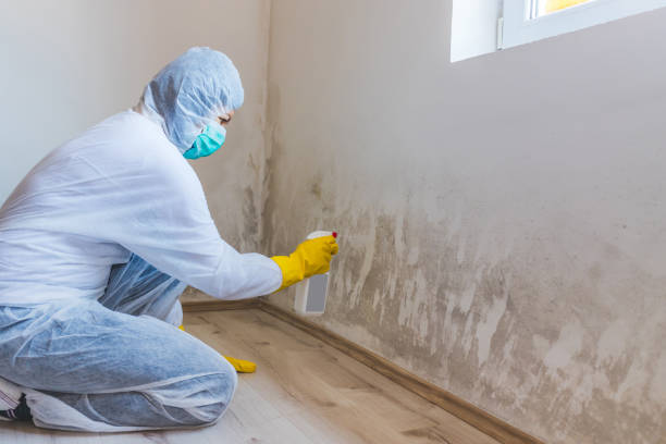 Best Mold Remediation for Healthcare Facilities  in Robins Af, GA