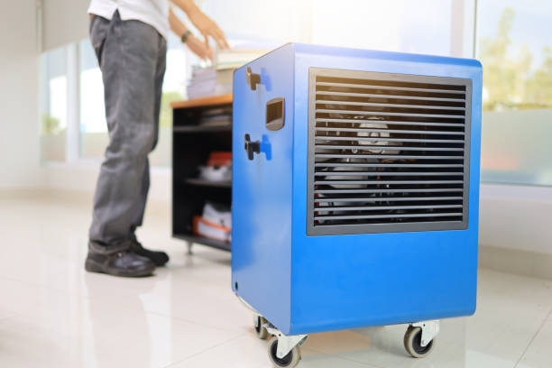 Best Black Mold Removal  in Robins Af, GA