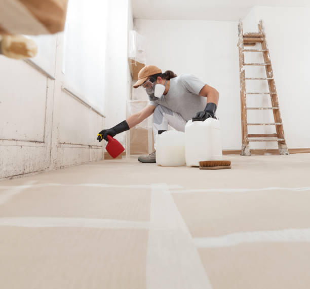 Mold Remediation for Rental Properties in Robins Af, GA